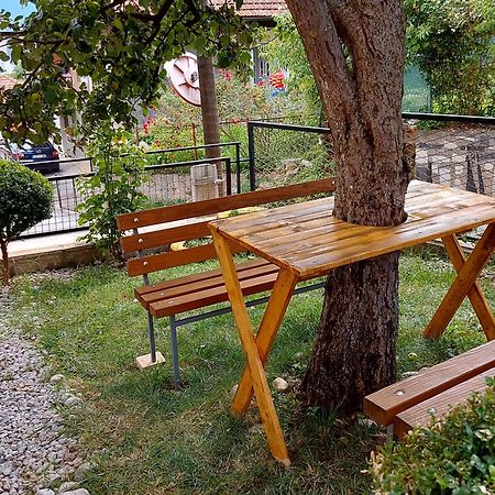 Mini Hill Apartment Sarajevo Exterior photo